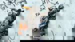 Chappie