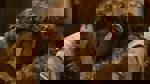 Dawn of the Planet of the Apes