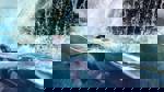 The Meg