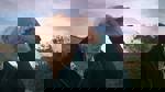 Close Up: Dear Memories - Fotograaf Thomas Hoepker in Amerika