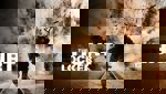 The Hurt Locker