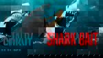 Shark Bait