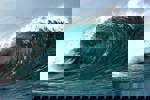 Tsunami: The Wave That Shocked The World