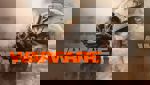 Warfare