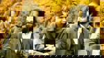 Good Will Hunting
