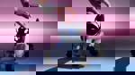 Close Up: Over katten en honden en kunst
