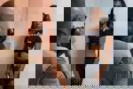 Close Up: Altijd op zoek: Titus Brooks Heagins
