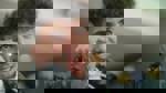 NPO Doc: Nu ben ik 18