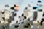 NPO Doc: Als de zee