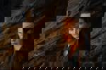 The Hobbit: The Desolation of Smaug