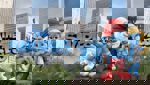 The Smurfs