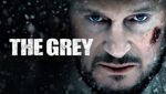 The Grey