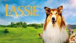 Lassie: Een Nieuw Avontuur