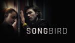 Songbird