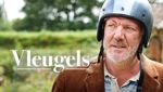 Vleugels