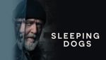 Sleeping Dogs
