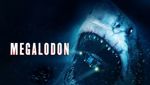 Megalodon