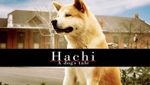 Hachiko A Dog's Story