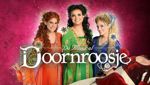 Doornroosje, De Musical