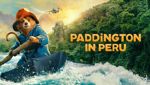 Paddington in Peru