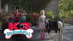 K3 Dierenhotel