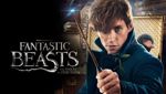 Fantastic Beasts and Where to Find Them