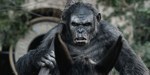 Dawn of the Planet of the Apes